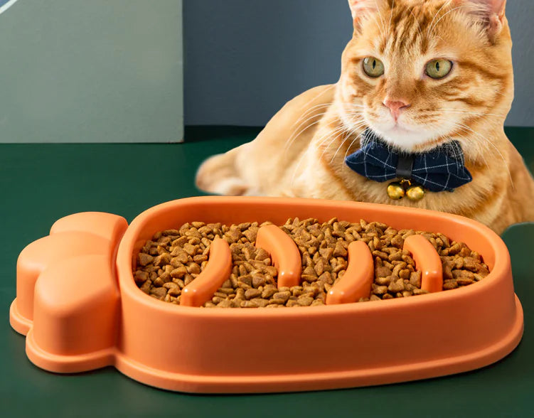 Big Boned No More Slow Feed Dog Bowl for Large Dogs