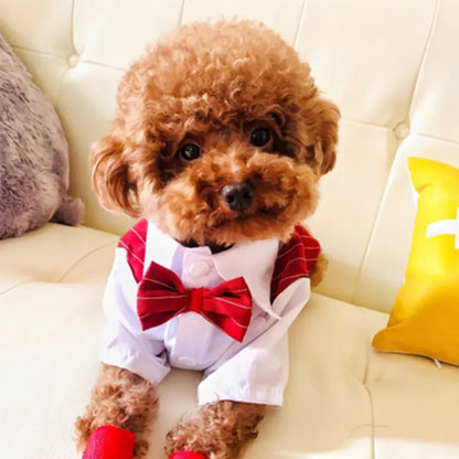 Scholarly Samantha Shirt Suit