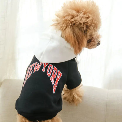 Conceited Canine Casual Hooded Sweatshirt