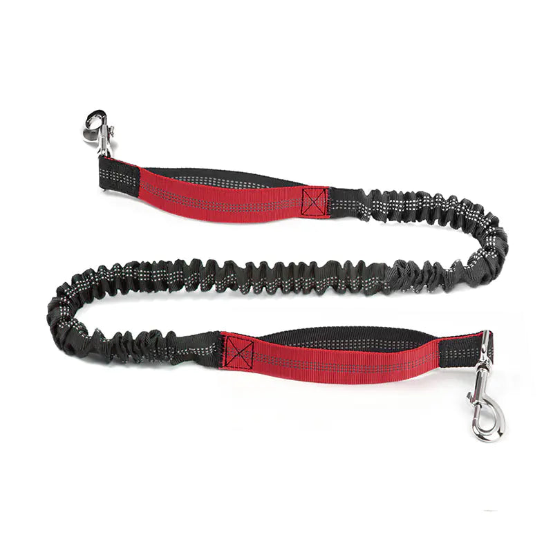 4 Legged Trainer's Pet Running Waist Bag with Leash