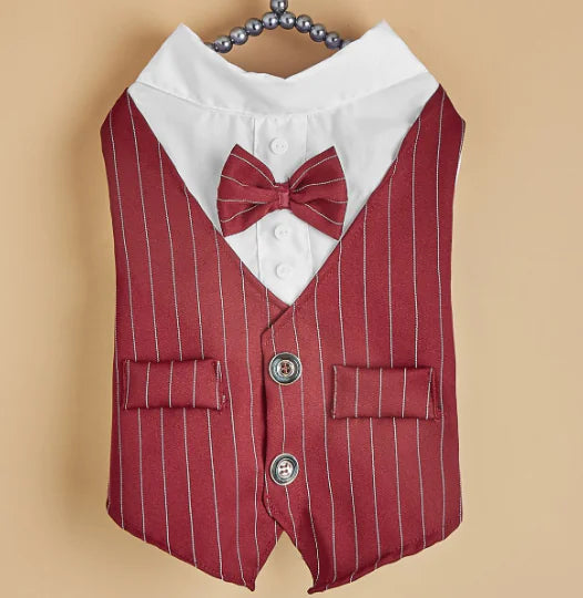Scholarly Samantha Shirt Suit