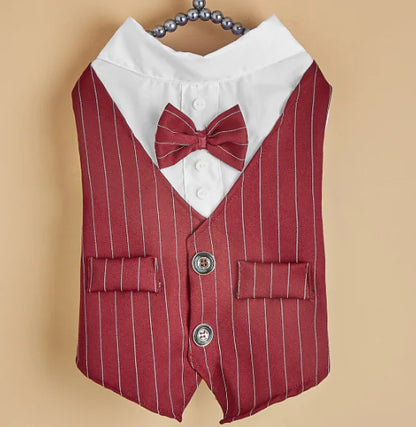 Scholarly Samantha Shirt Suit