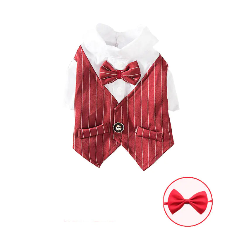 Scholarly Samantha Shirt Suit