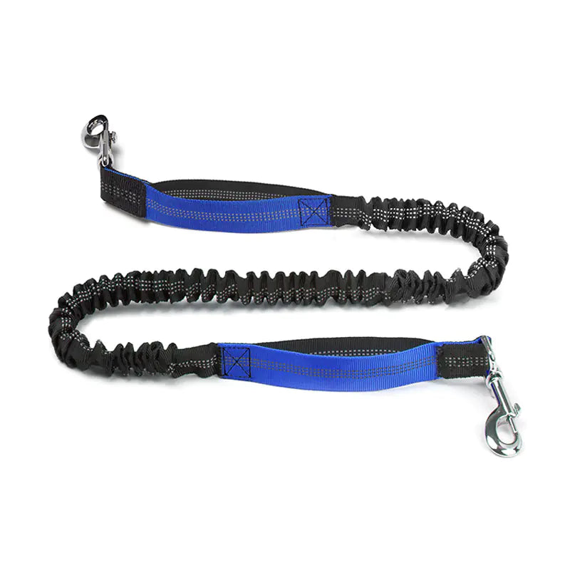 4 Legged Trainer's Pet Running Waist Bag with Leash
