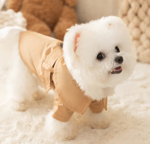 Pretty in the Trenches Stylish Trench Coat
