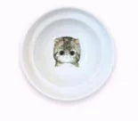 Feed Me Now Feline Serving Bowls