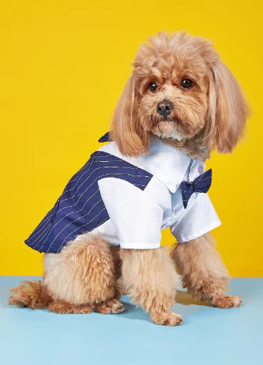 Scholarly Samantha Shirt Suit