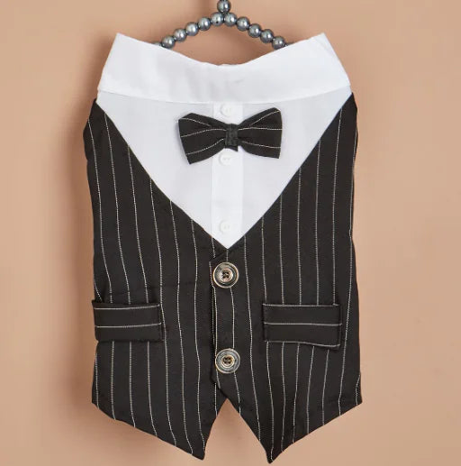 Scholarly Samantha Shirt Suit