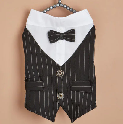 Scholarly Samantha Shirt Suit