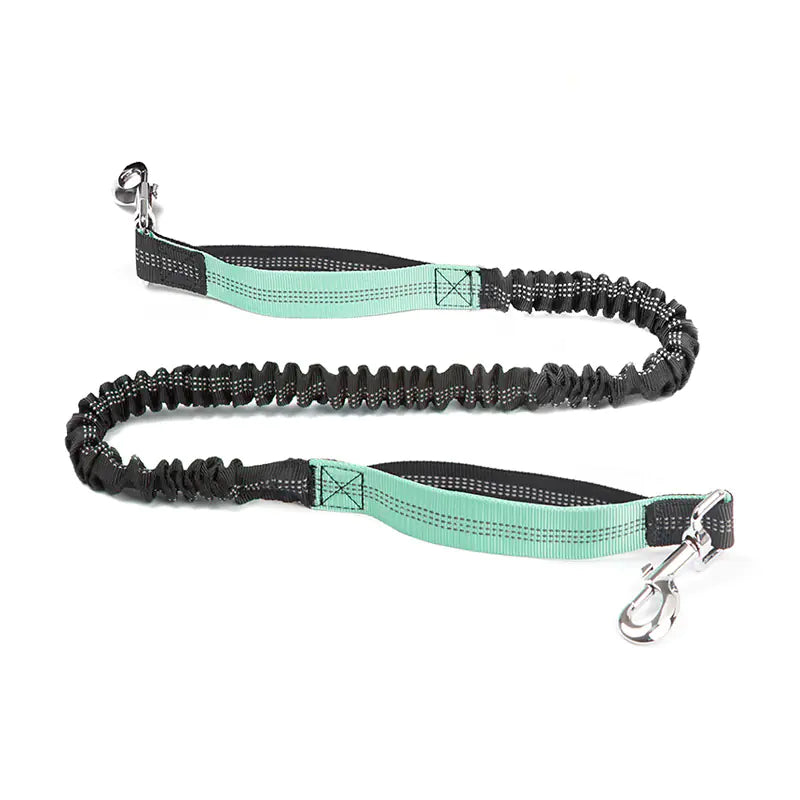 4 Legged Trainer's Pet Running Waist Bag with Leash