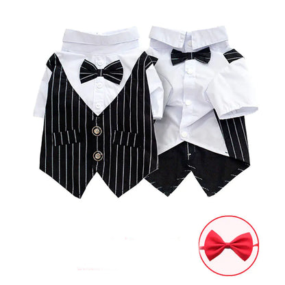 Scholarly Samantha Shirt Suit