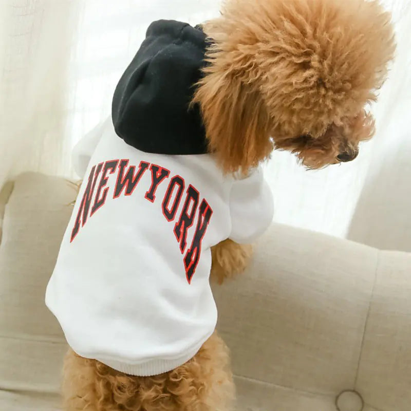 Conceited Canine Casual Hooded Sweatshirt