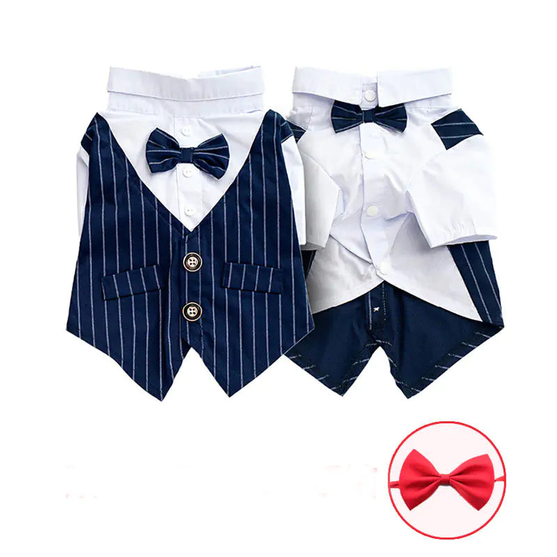 Scholarly Samantha Shirt Suit