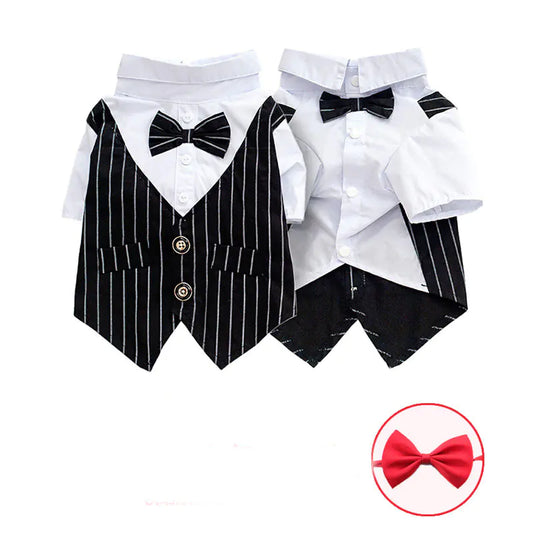 Scholarly Samantha Shirt Suit
