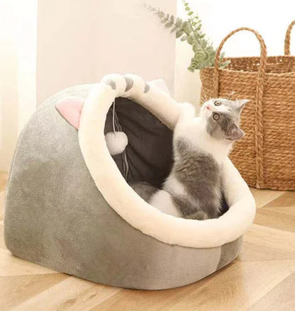 Cozy Solo Hut for Small Dogs and Cats