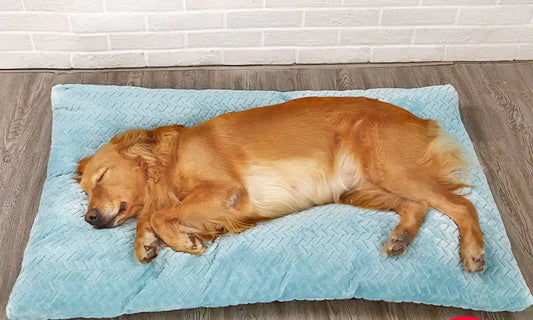 Long Warm Plush Slumber Pillow with Quilted Base - 4 Sizes