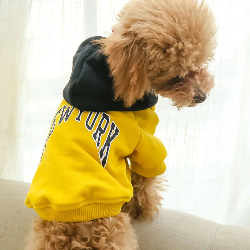 Conceited Canine Casual Hooded Sweatshirt