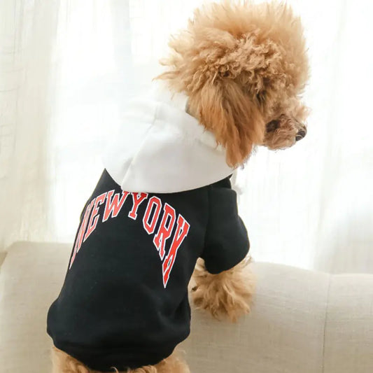Conceited Canine Casual Hooded Sweatshirt