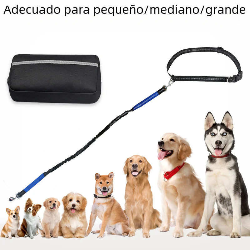 4 Legged Trainer's Pet Running Waist Bag with Leash